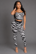 Wild Side Zebra Set